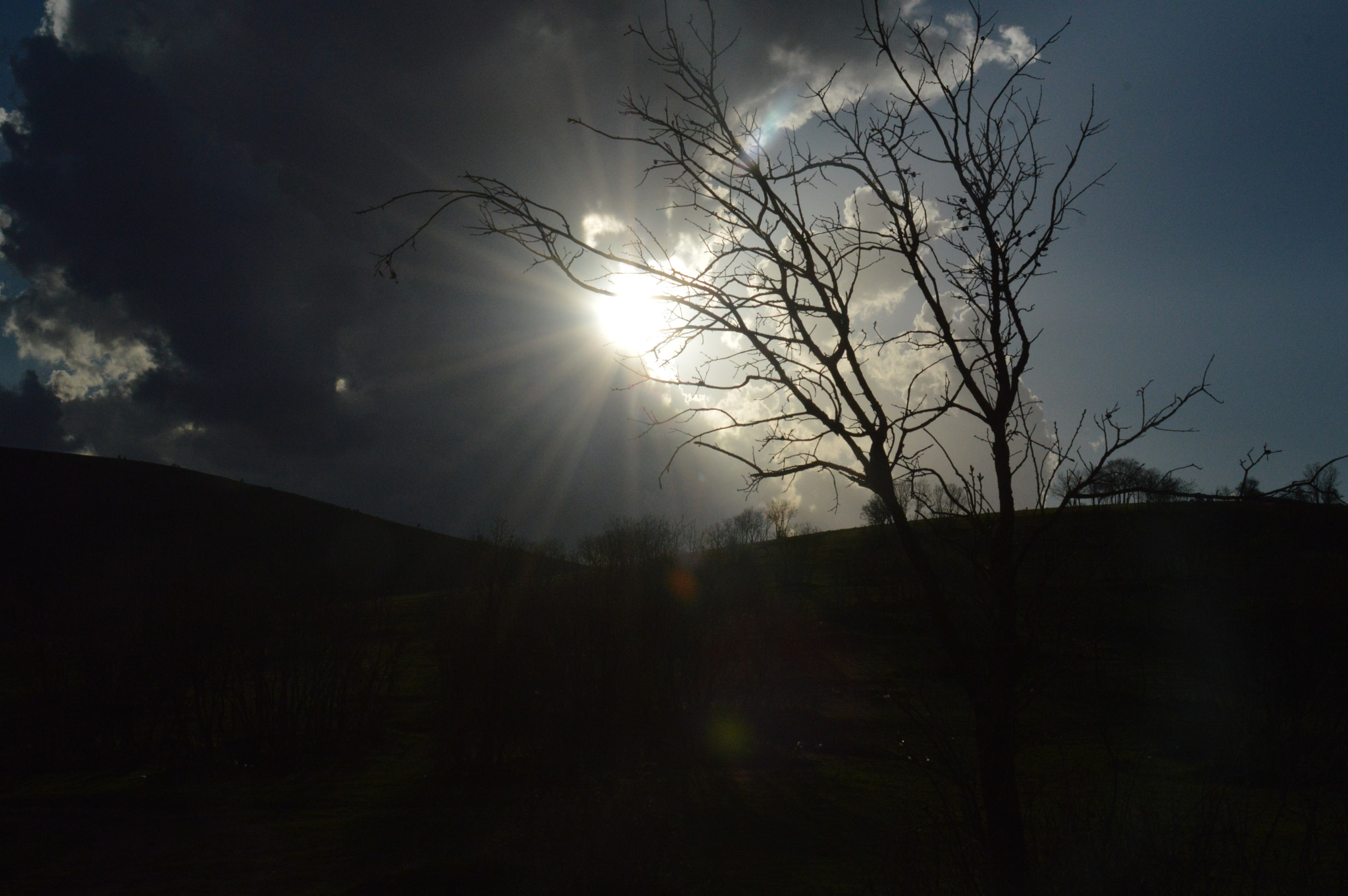 Nikon D3200 sample photo. (my arts photo by qasim srush) photography