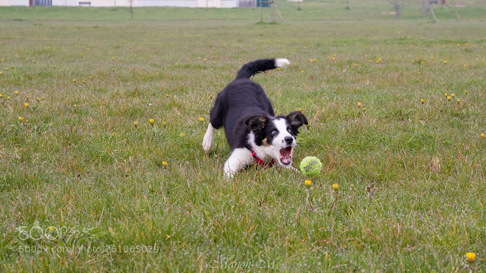 Canon EOS 750D (EOS Rebel T6i / EOS Kiss X8i) sample photo. Nora photography