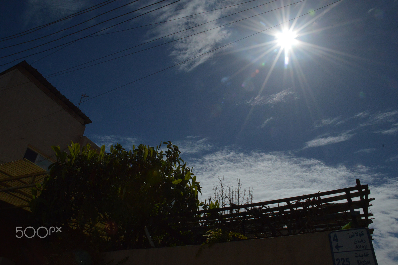 Nikon D3200 sample photo. (my arts photo by qasim srush) photography