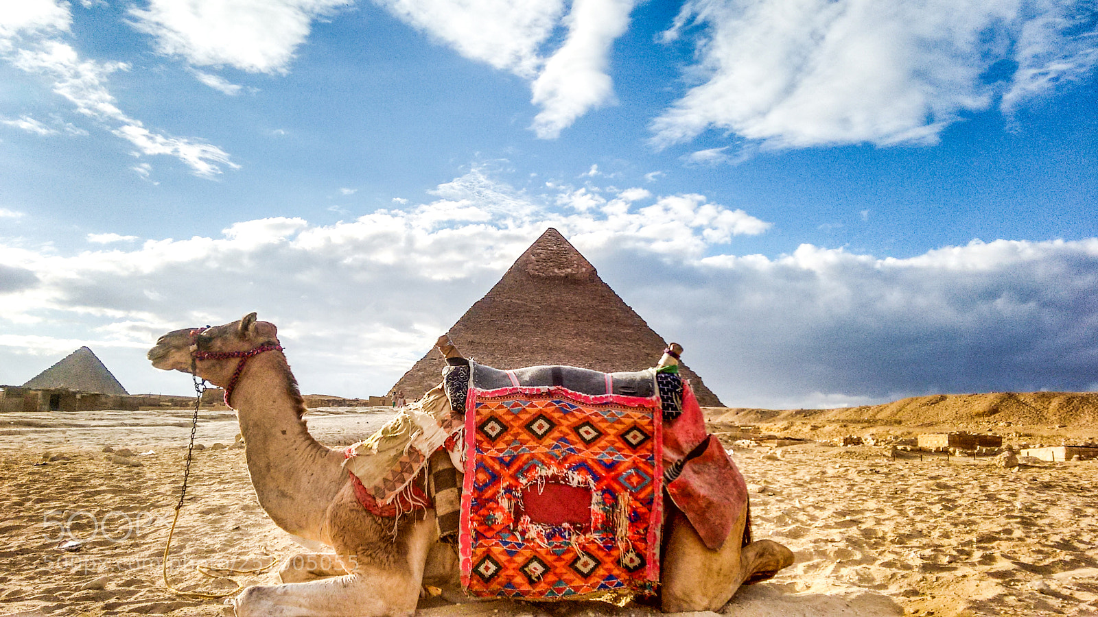 Motorola Moto G (2nd Gen) sample photo. Camel at giza pyramids photography