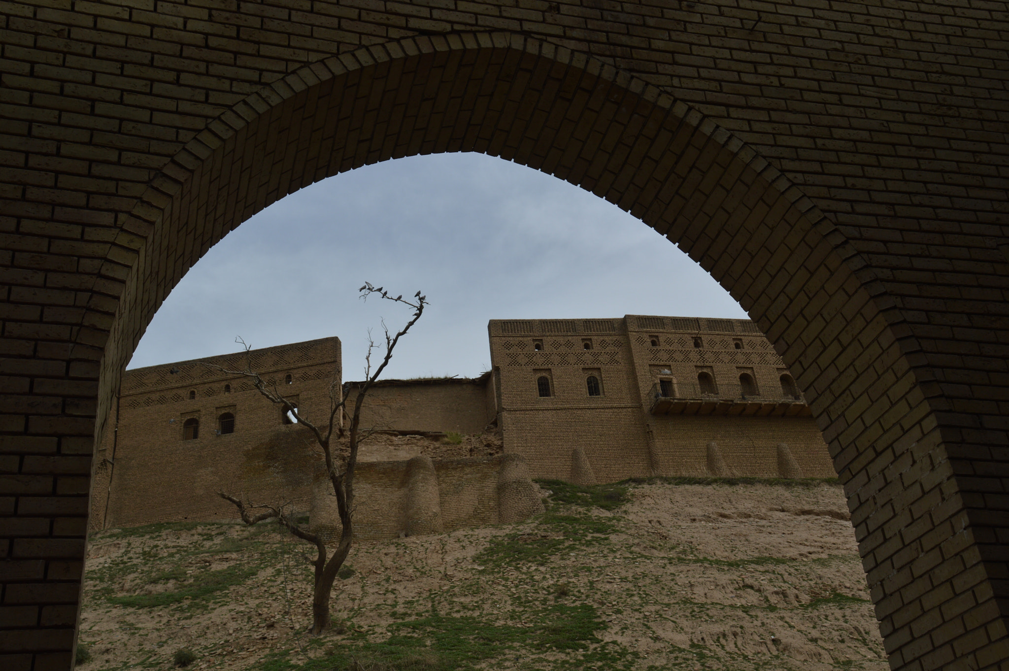 Nikon D3200 sample photo. (my arts photo by qasim srush) photography