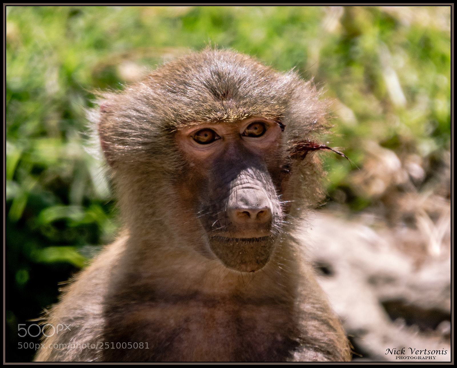 Nikon D7200 sample photo. I need a bath... photography