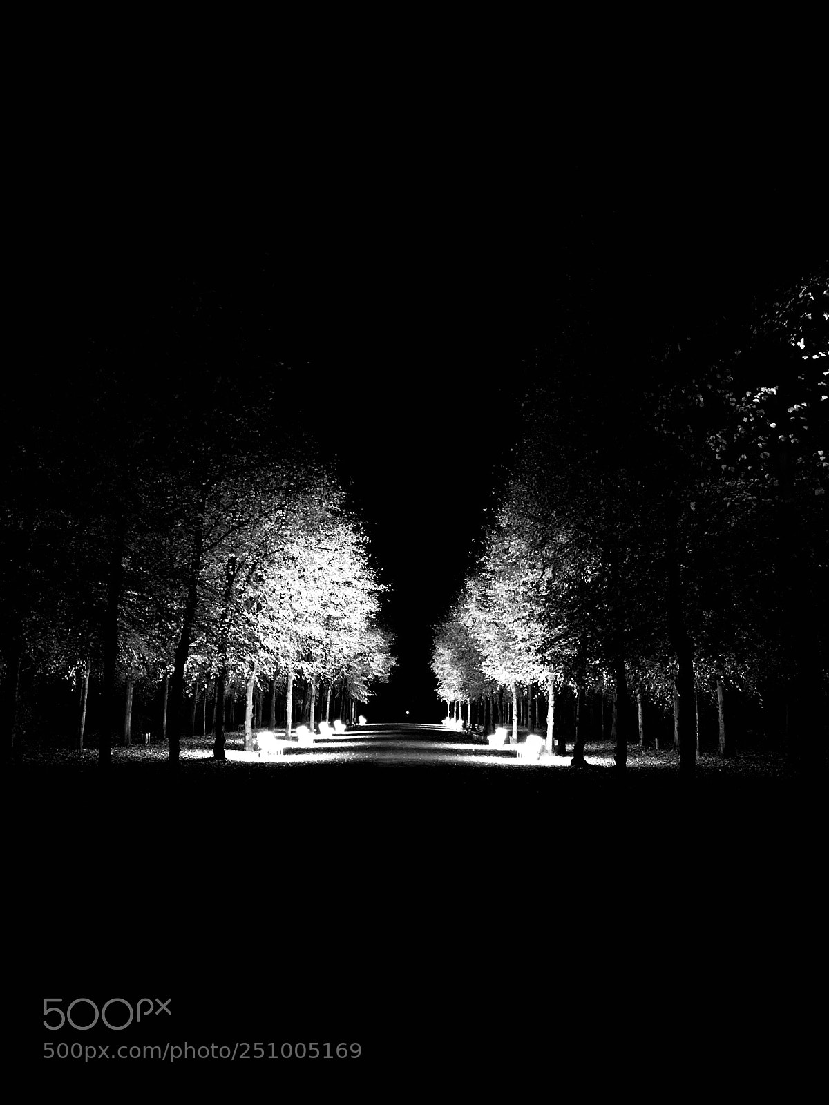 Apple iPhone 7 sample photo. Hofgarten düsseldorf  photography