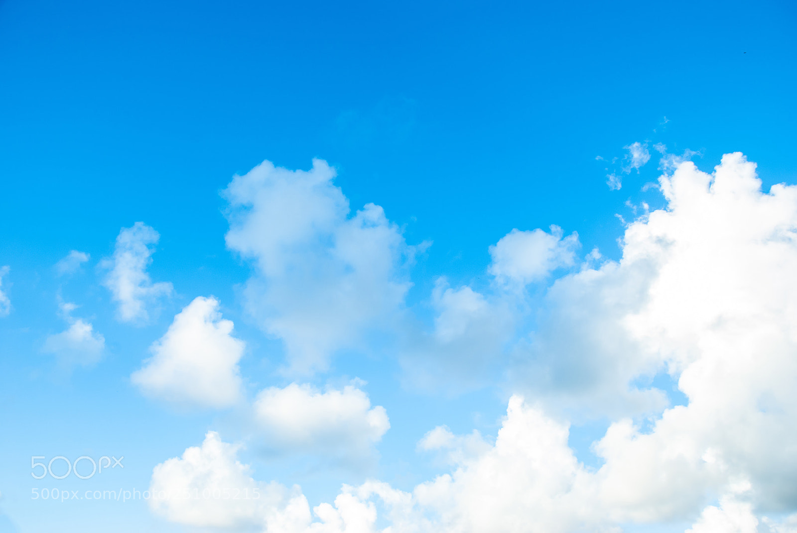 Nikon D80 sample photo. Blue sky white cloud photography