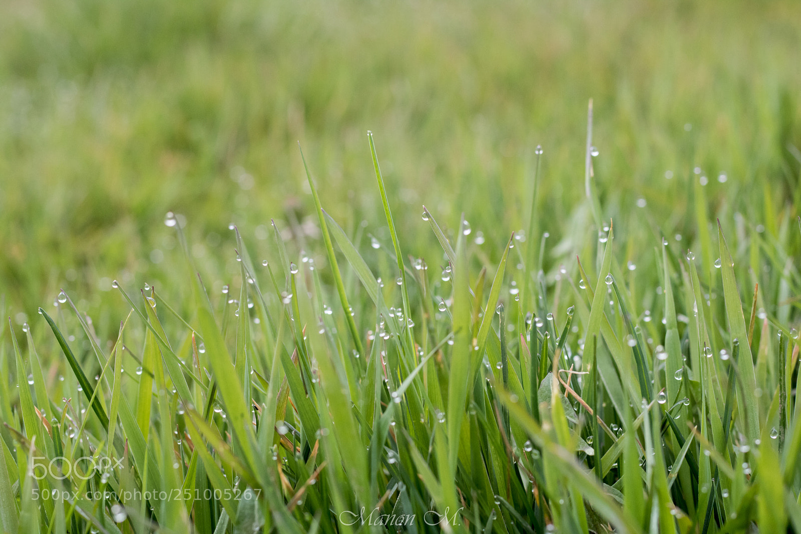 Canon EOS 750D (EOS Rebel T6i / EOS Kiss X8i) sample photo. Après la pluie photography
