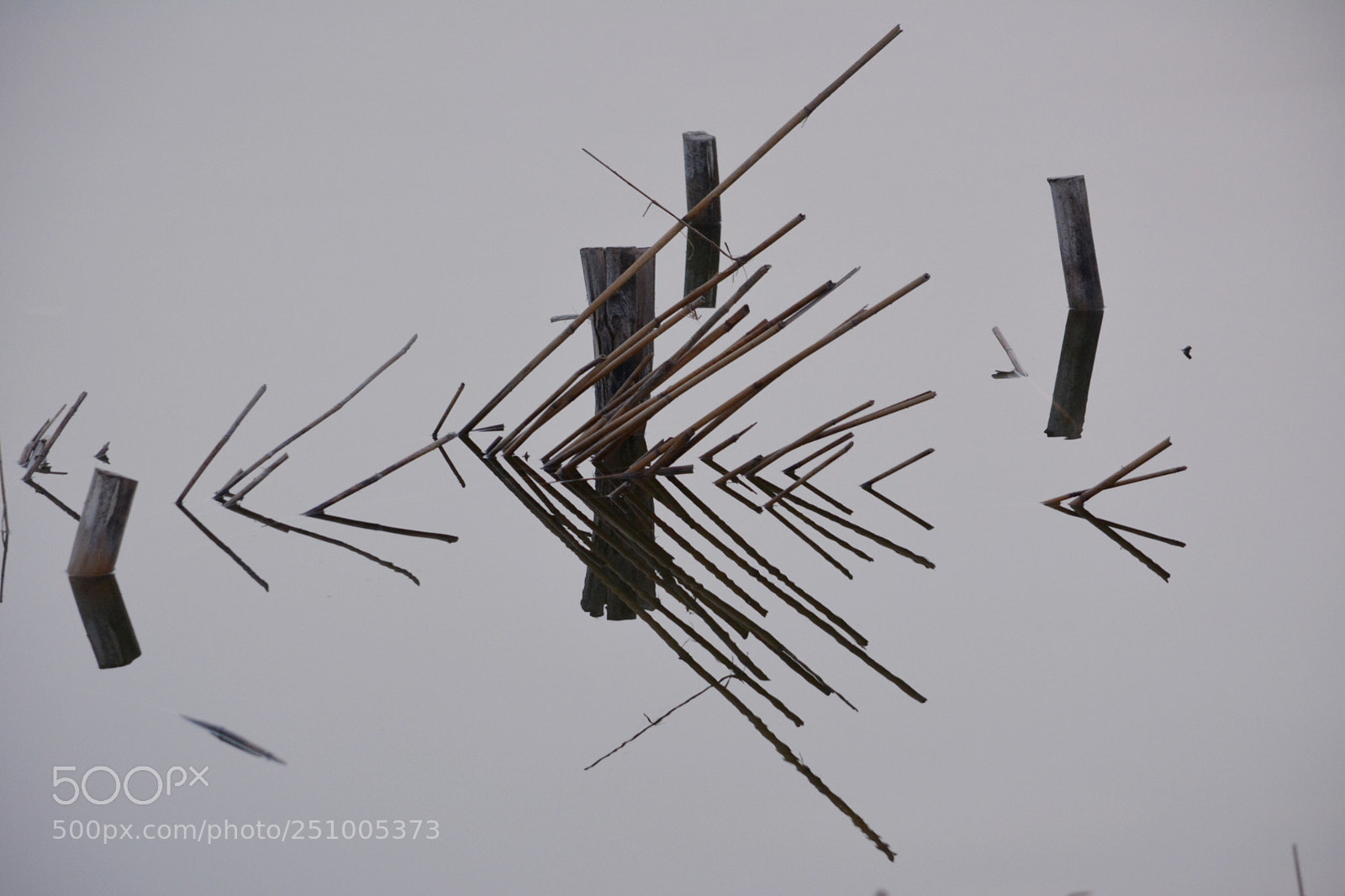 Nikon D5200 sample photo. Untitled photography