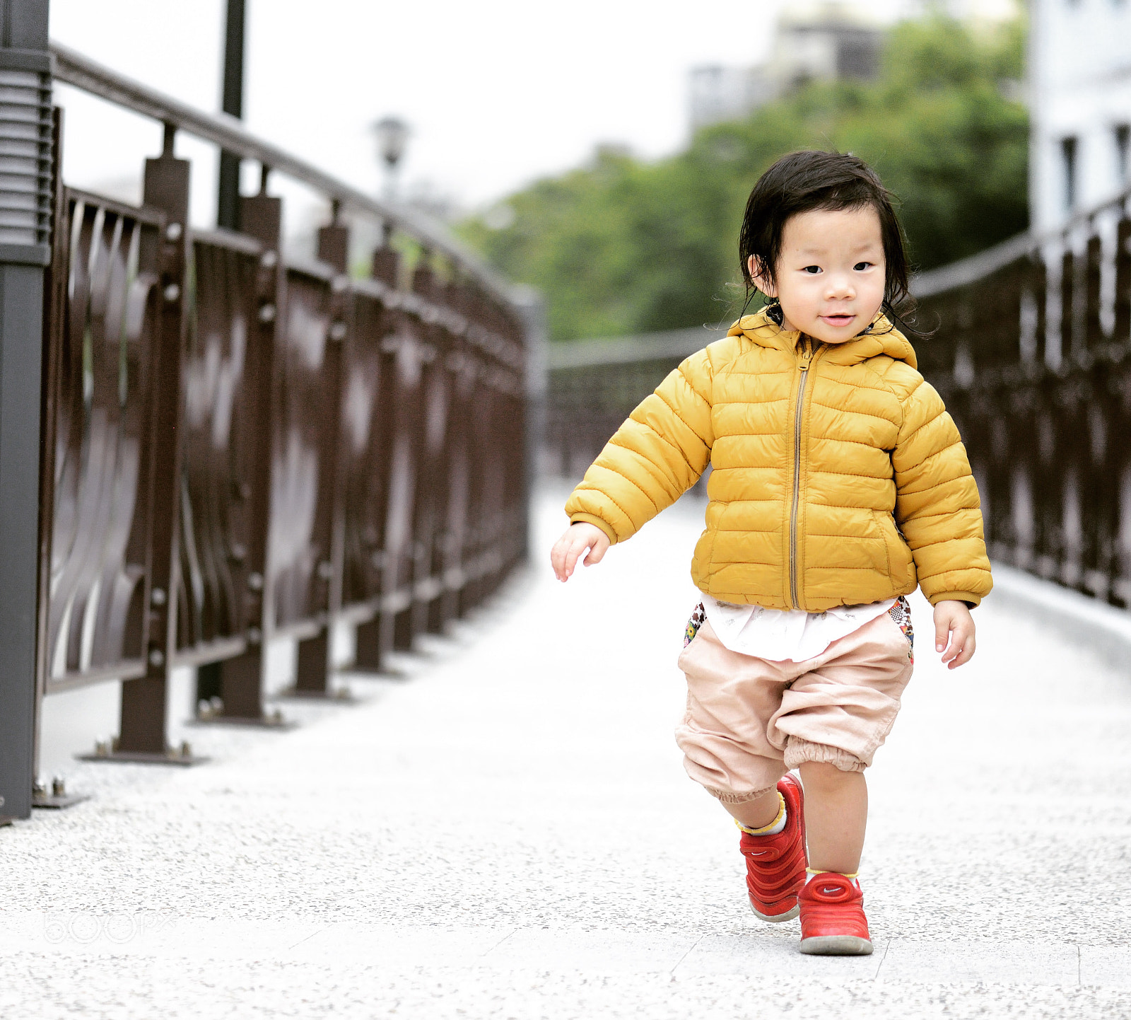 Nikon D800 sample photo. Untitled photography