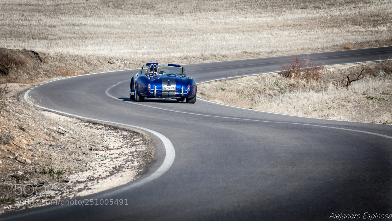 Canon EOS 5D Mark II sample photo. Ac cobra photography
