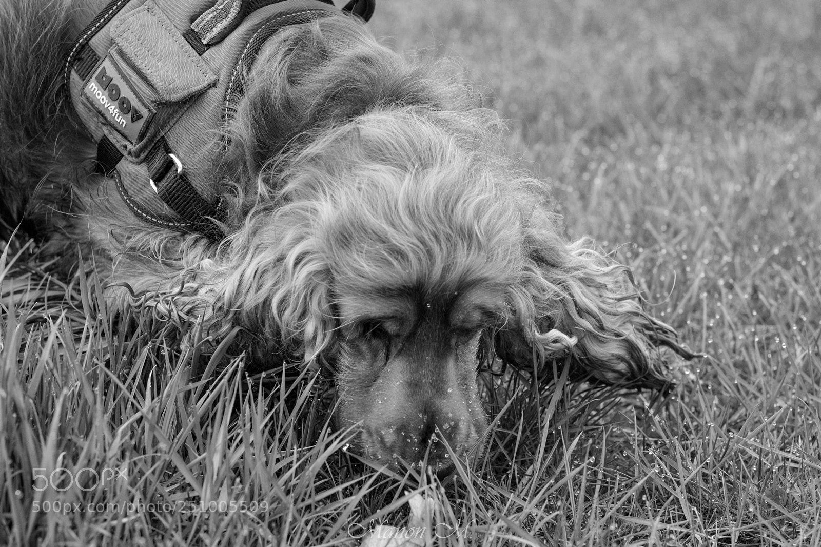 Canon EOS 750D (EOS Rebel T6i / EOS Kiss X8i) sample photo. Ismène photography