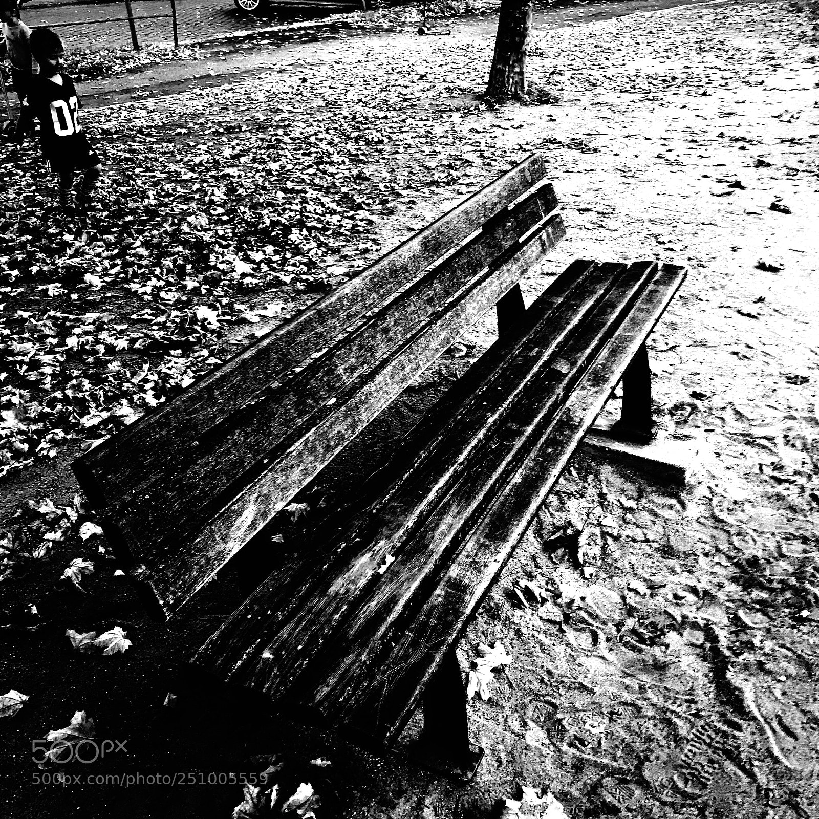 Apple iPhone 7 sample photo. Park photography