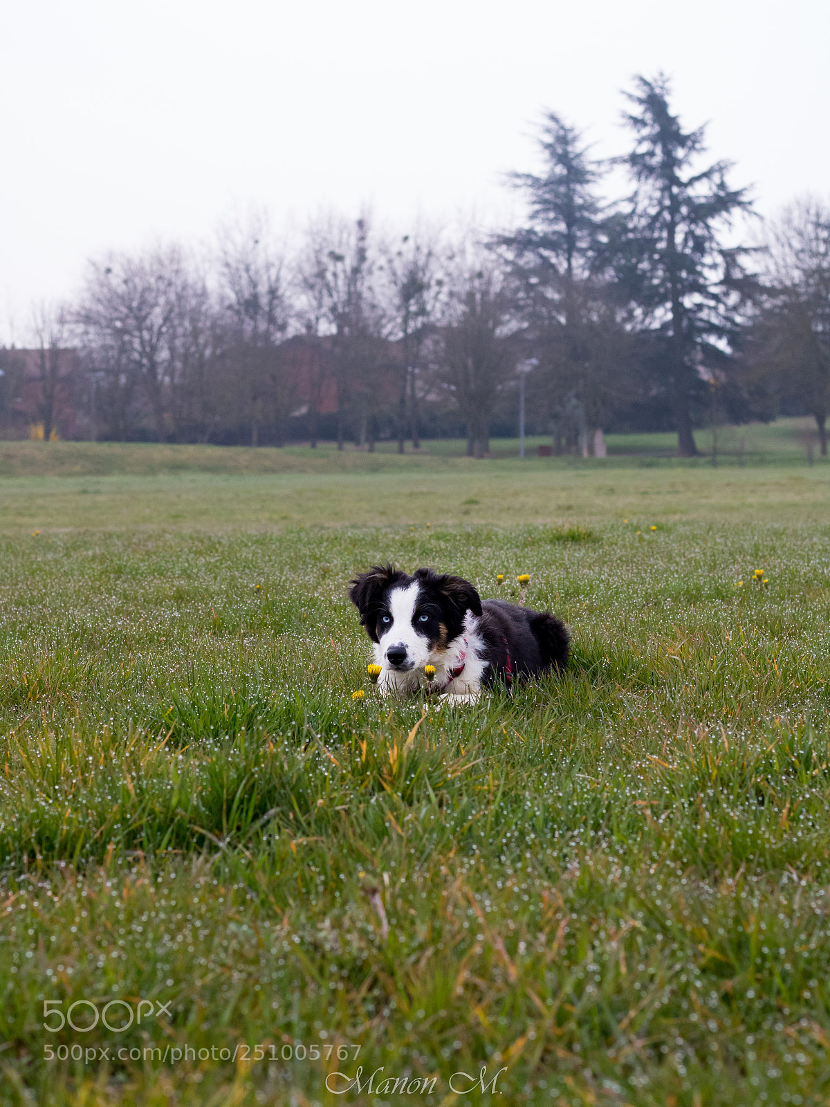 Canon EOS 750D (EOS Rebel T6i / EOS Kiss X8i) sample photo. Nora photography