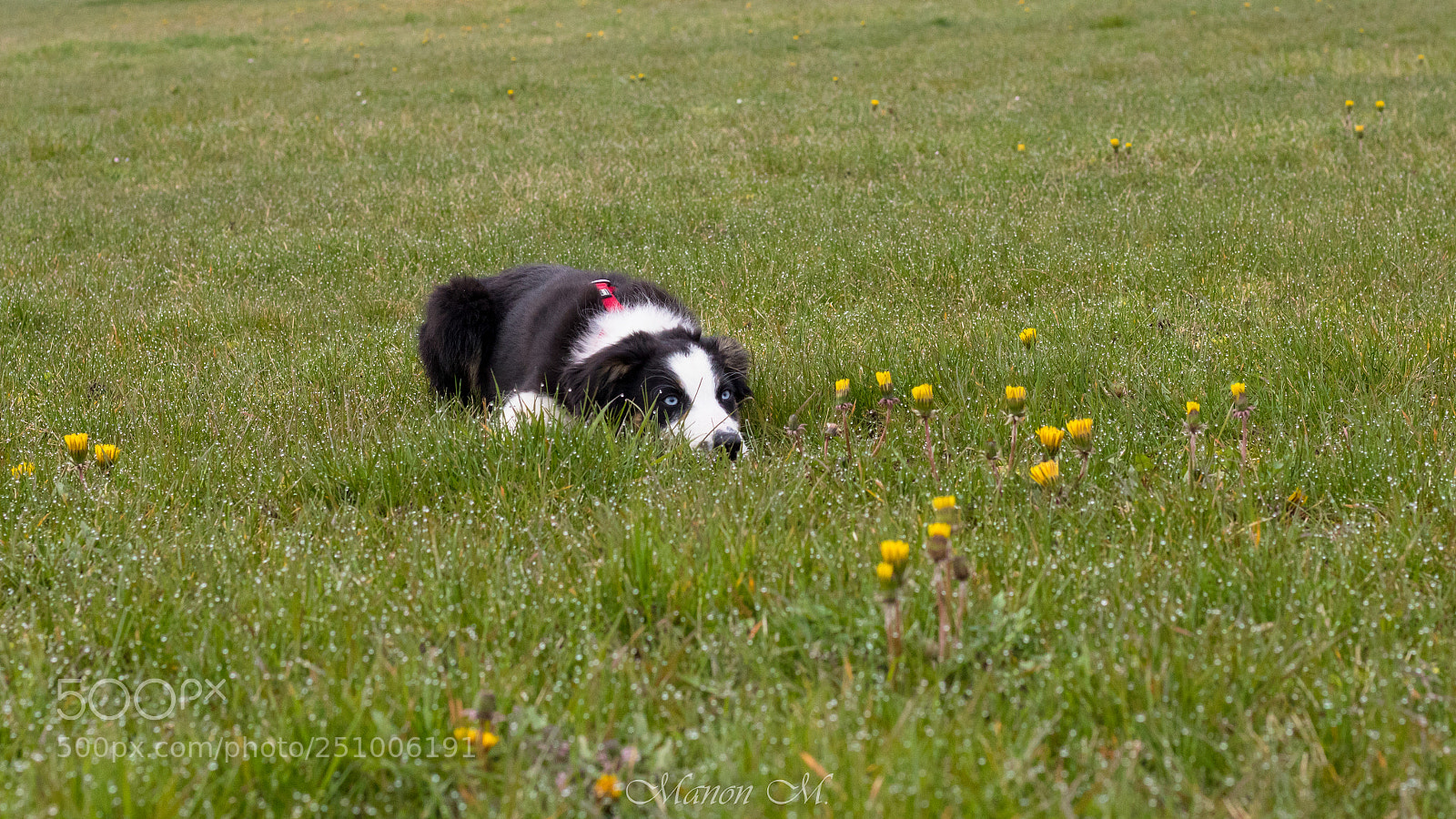 Canon EOS 750D (EOS Rebel T6i / EOS Kiss X8i) sample photo. Nora photography