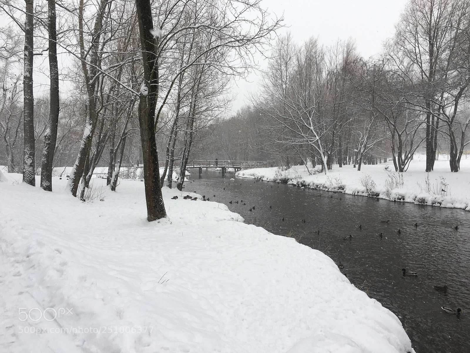 Apple iPhone 6s sample photo. Снегопад века photography