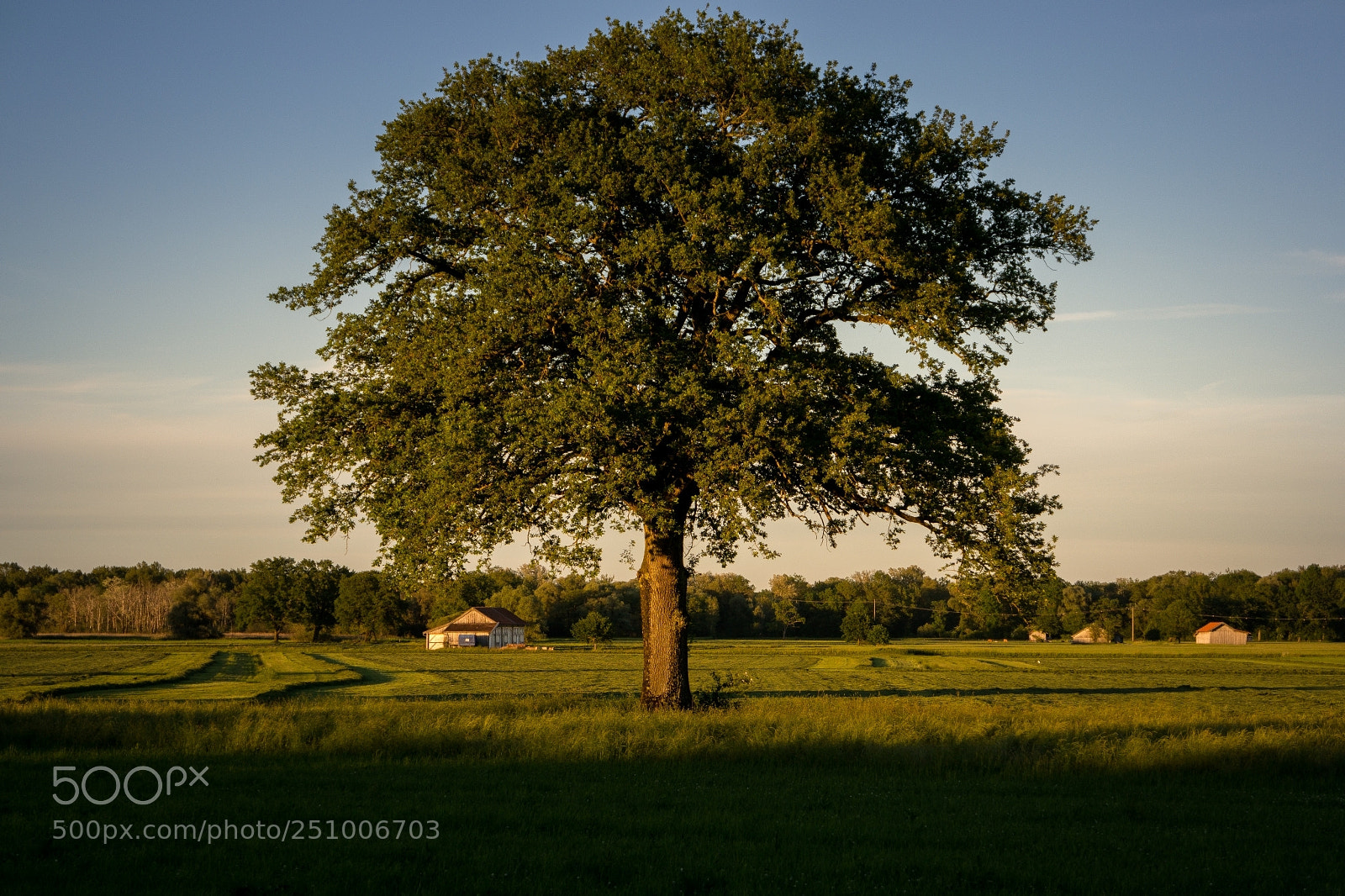 Samsung NX300 sample photo. Lachsgang sunset stroll photography