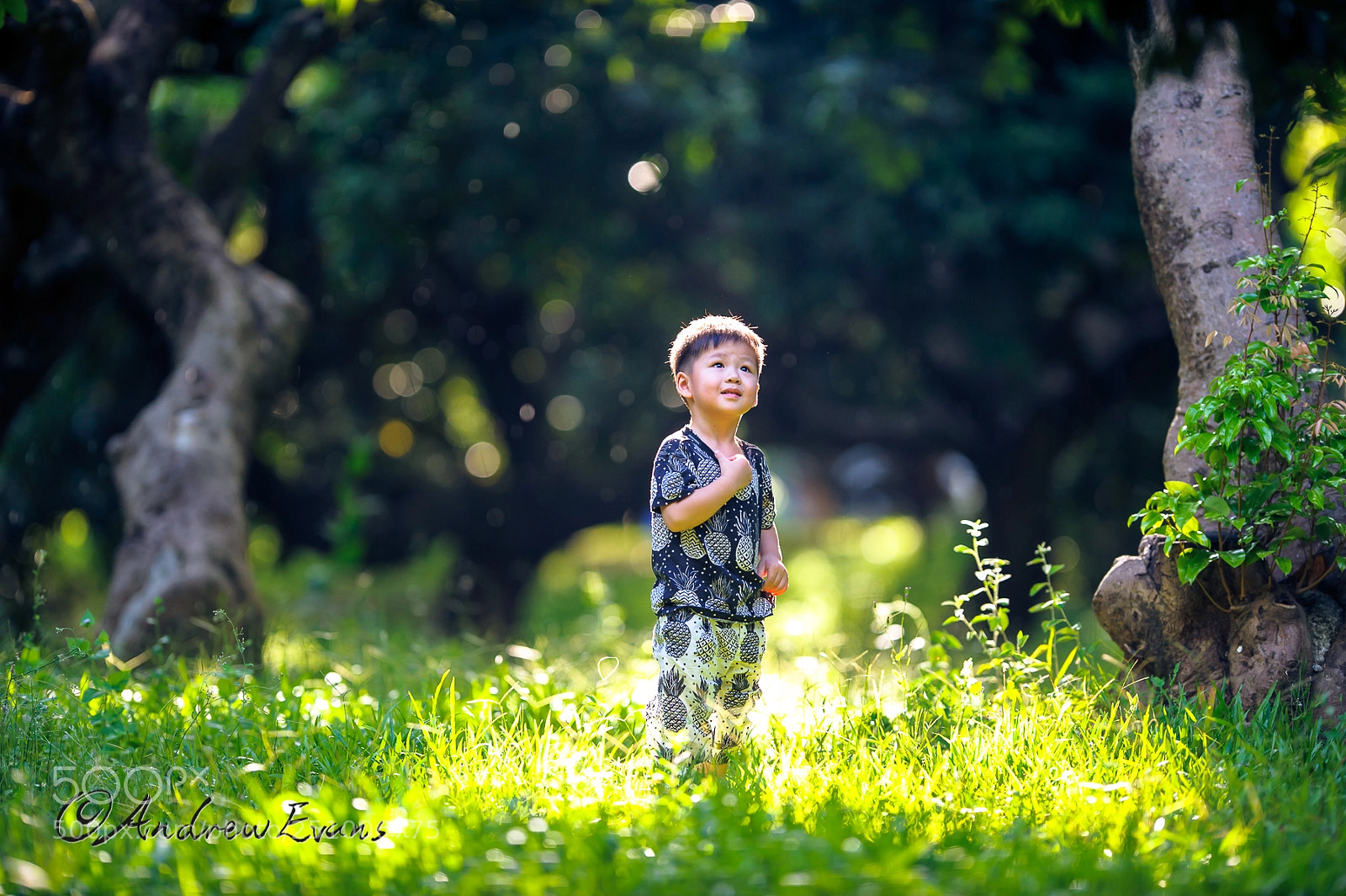 Nikon D3 sample photo. A little dreamer photography