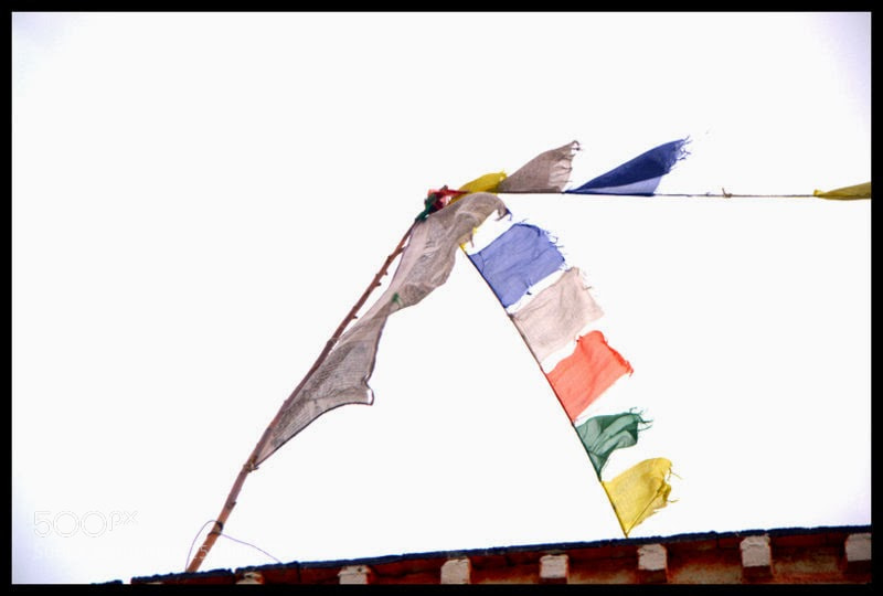 Nikon D3100 sample photo. Prayer flags wind photography