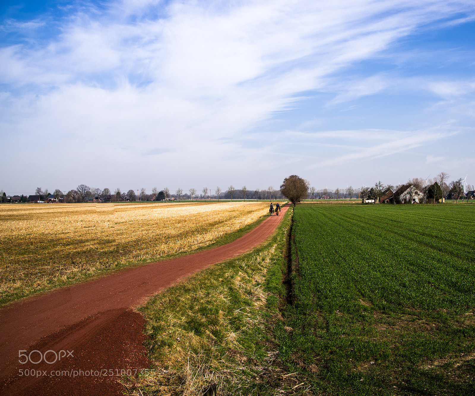 Pentax K-1 sample photo. Field colors 1 photography