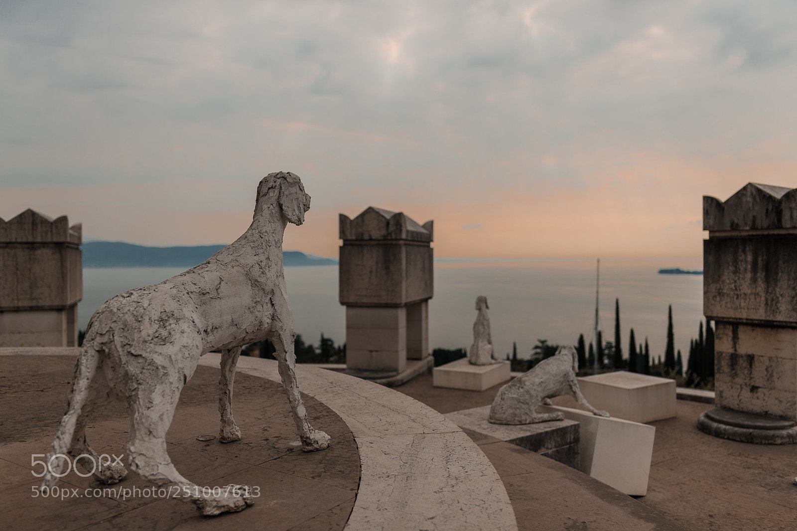 Nikon D850 sample photo. Watchdogs photography