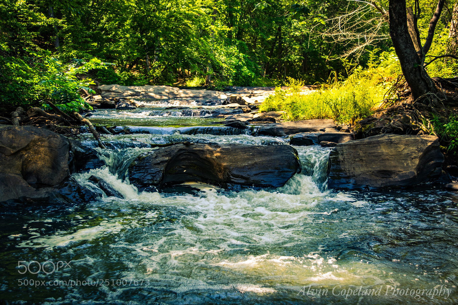 Nikon D3300 sample photo. Walk alone the stream photography