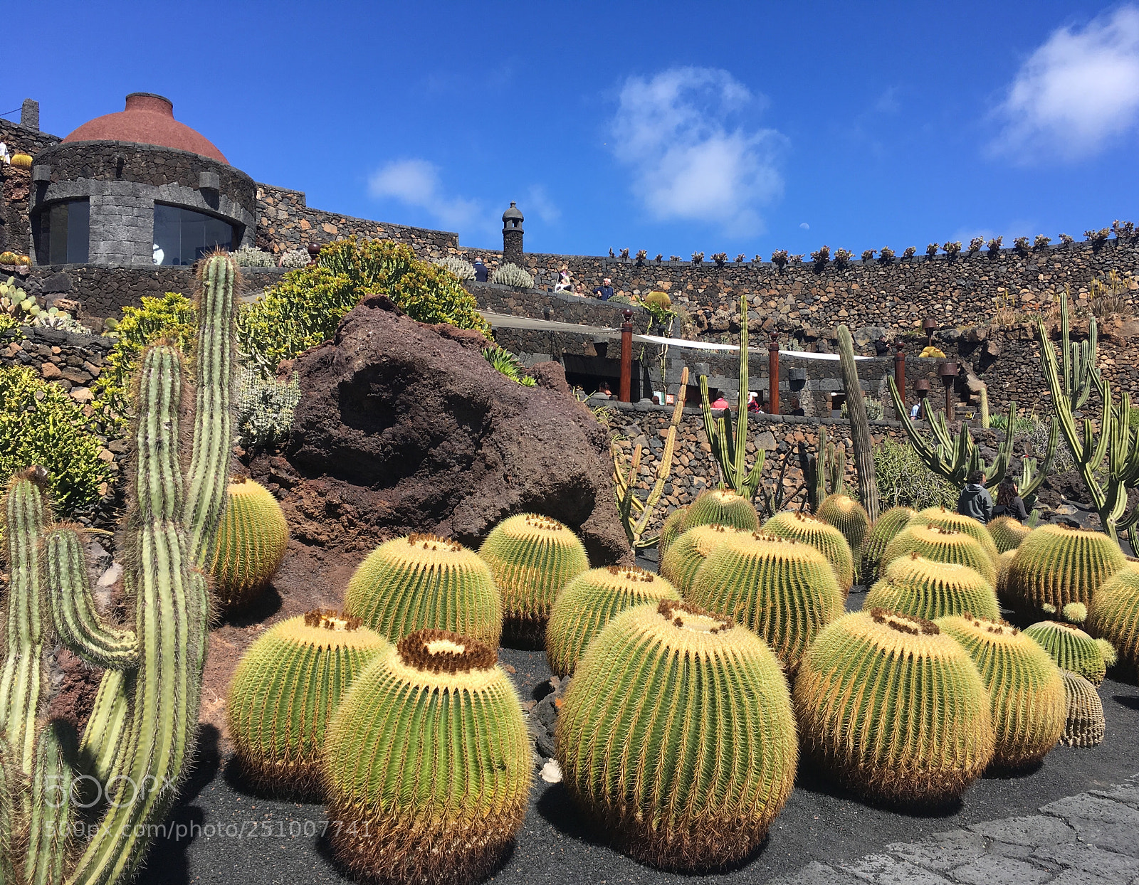 Apple iPhone SE sample photo. Jardin de cactus, lanzarote 2 photography