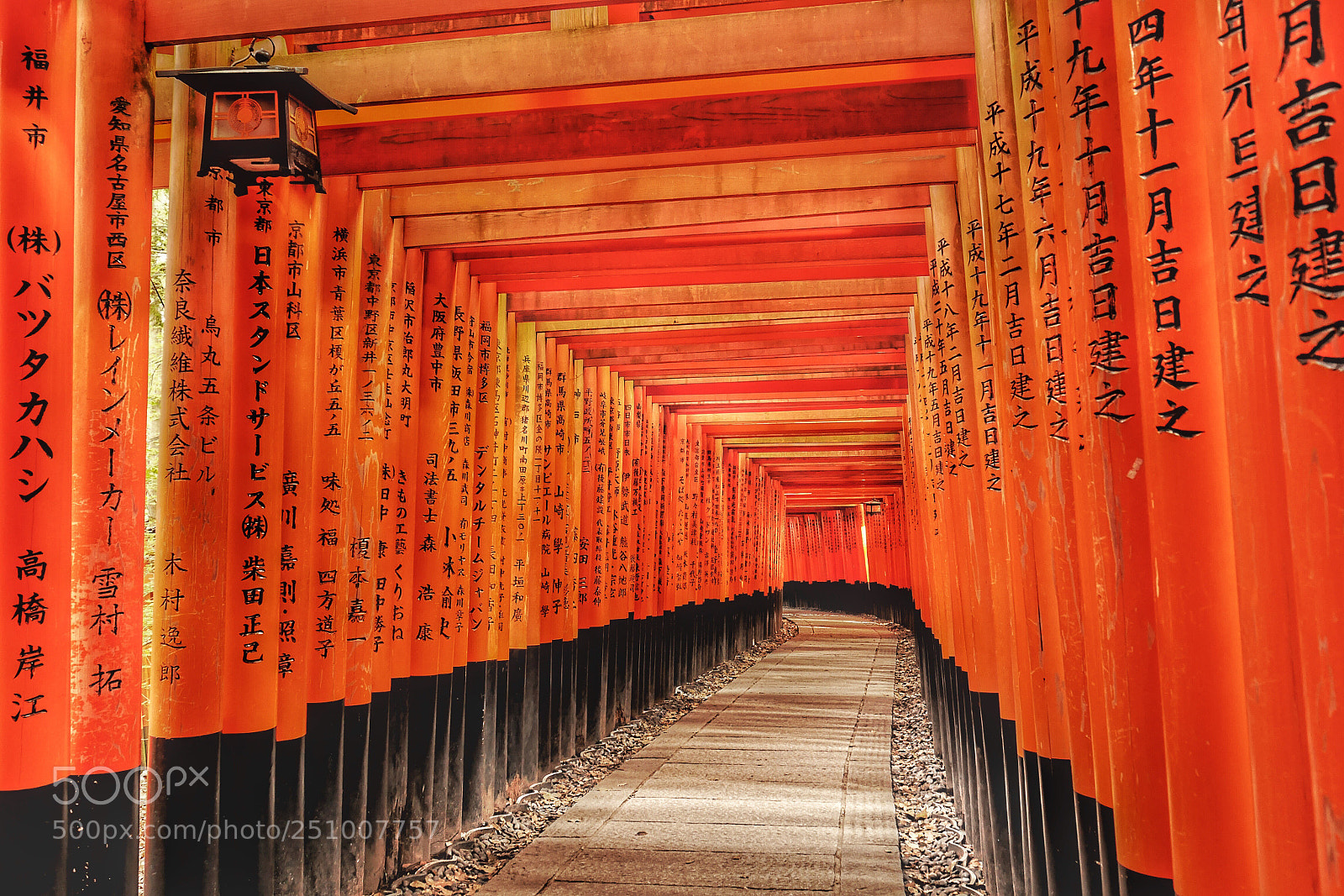 Panasonic Lumix DMC-GX7 sample photo. Fushimi-inari shrine, kyoto photography