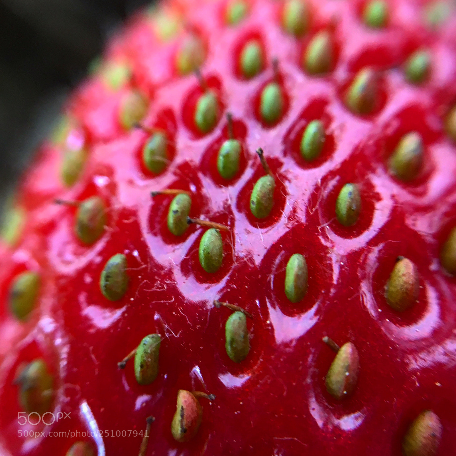 Apple iPhone 6s sample photo. My son’s strawberry ?  photography