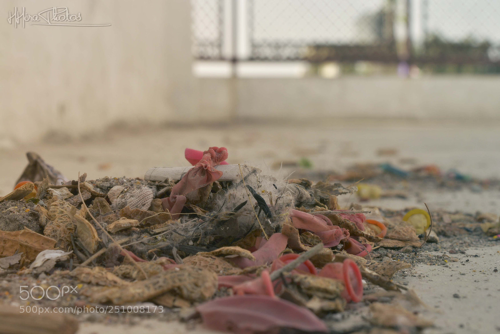 Nikon D5200 sample photo. Hh photography