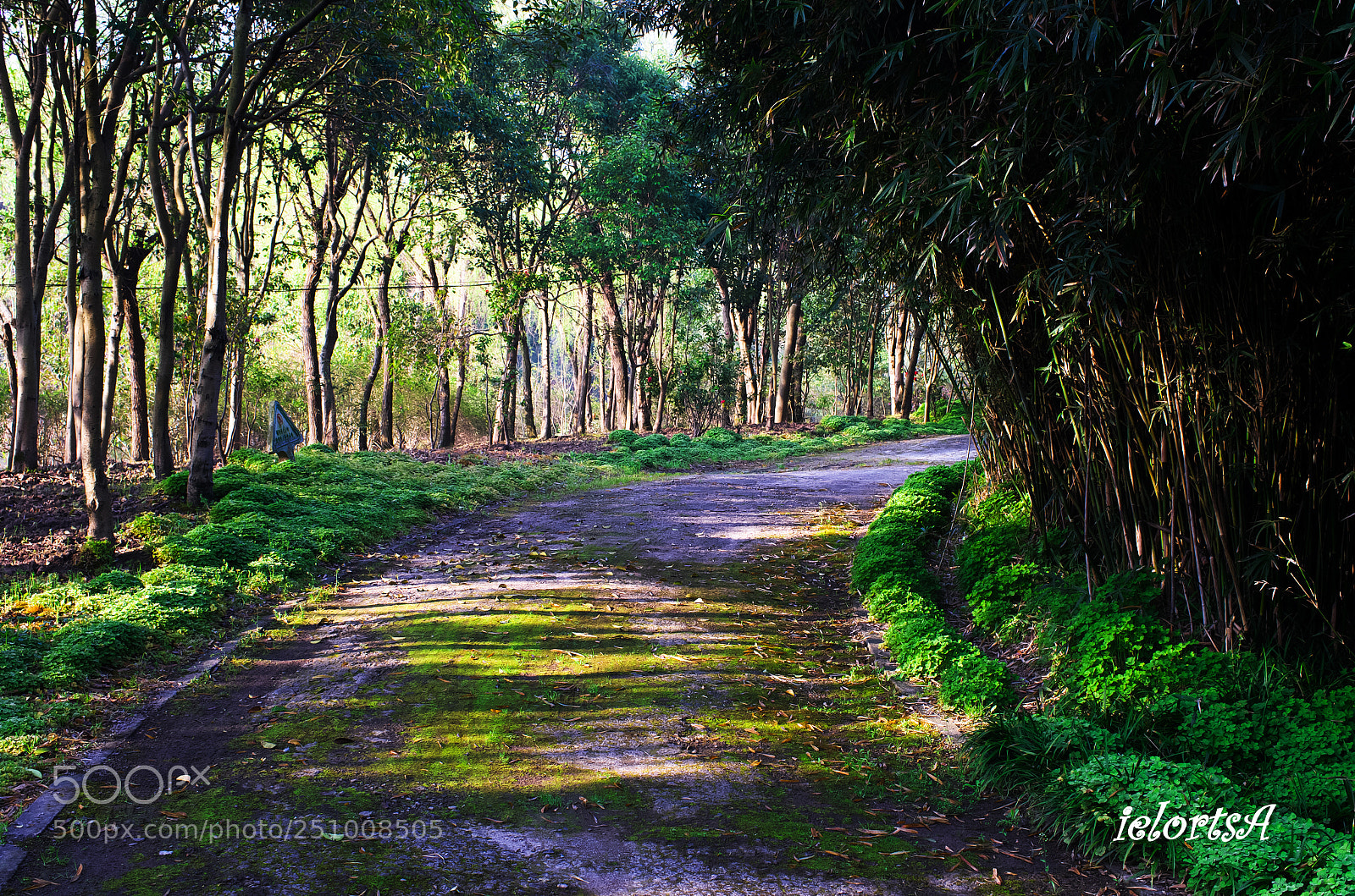 Pentax K-5 sample photo. Morning photography