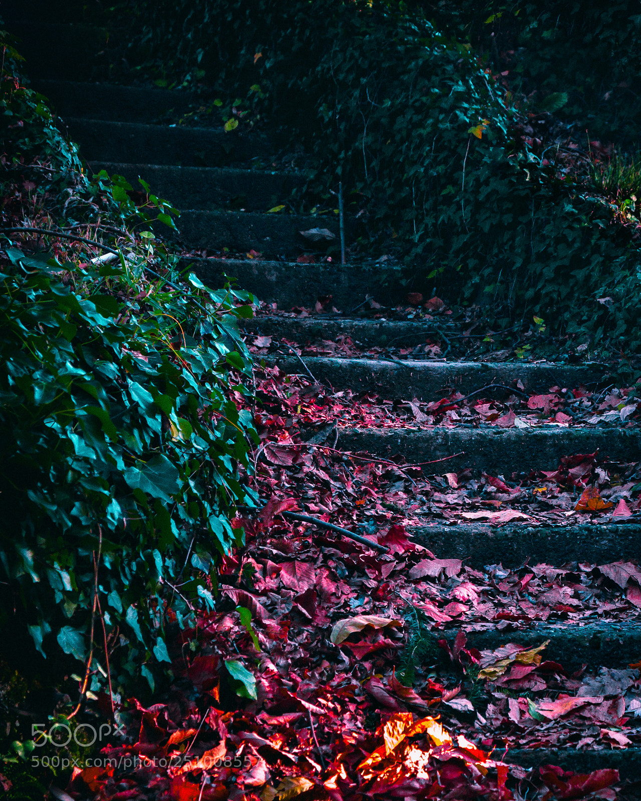Canon EOS 1200D (EOS Rebel T5 / EOS Kiss X70 / EOS Hi) sample photo. Stairway to fantastica photography