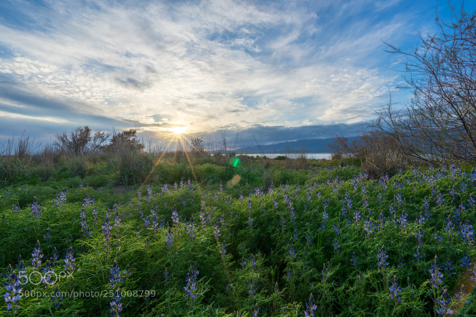 Sony a7 sample photo. Hdr sunset photography