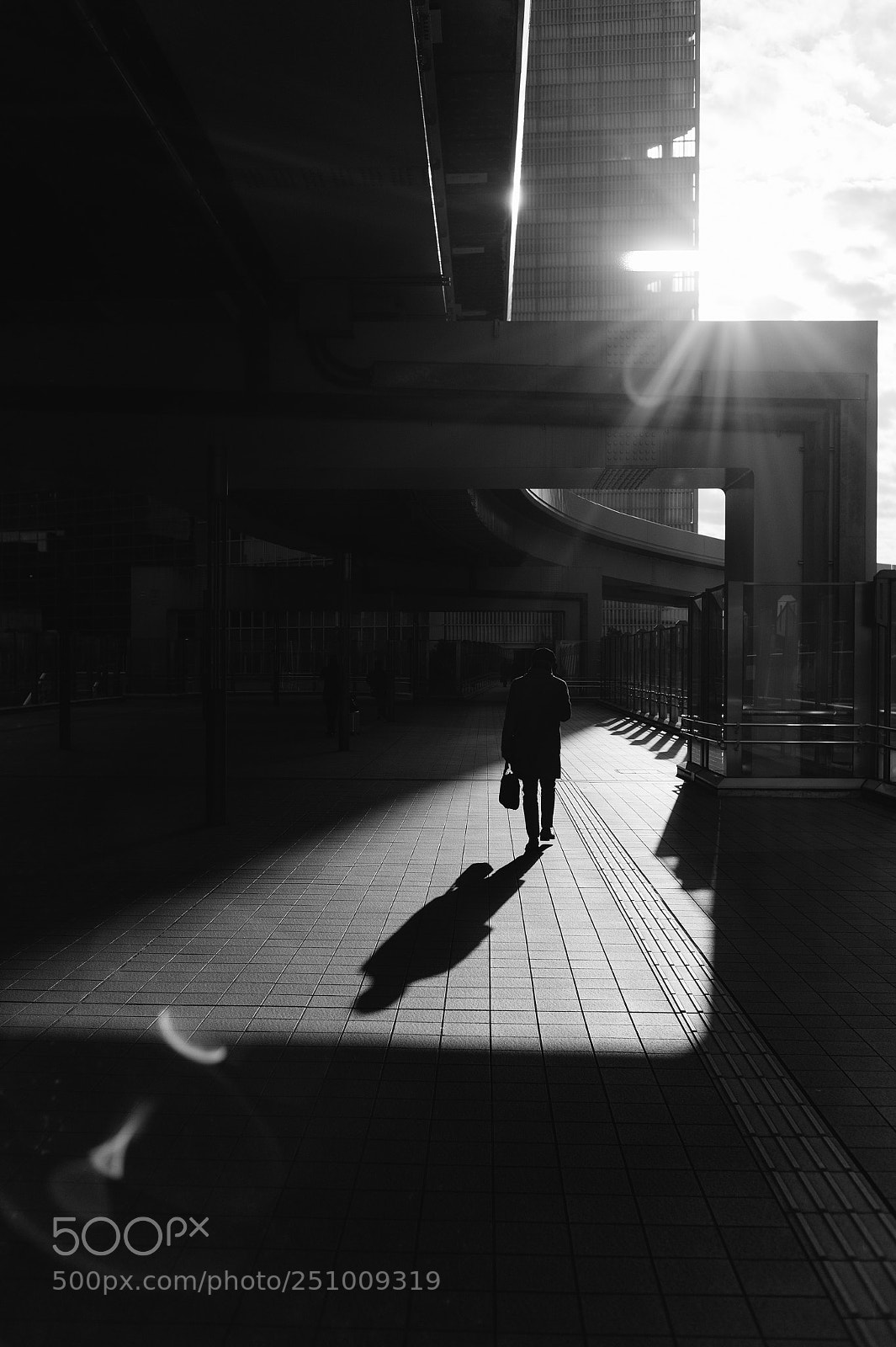 Leica M9 sample photo. Alone in the light photography