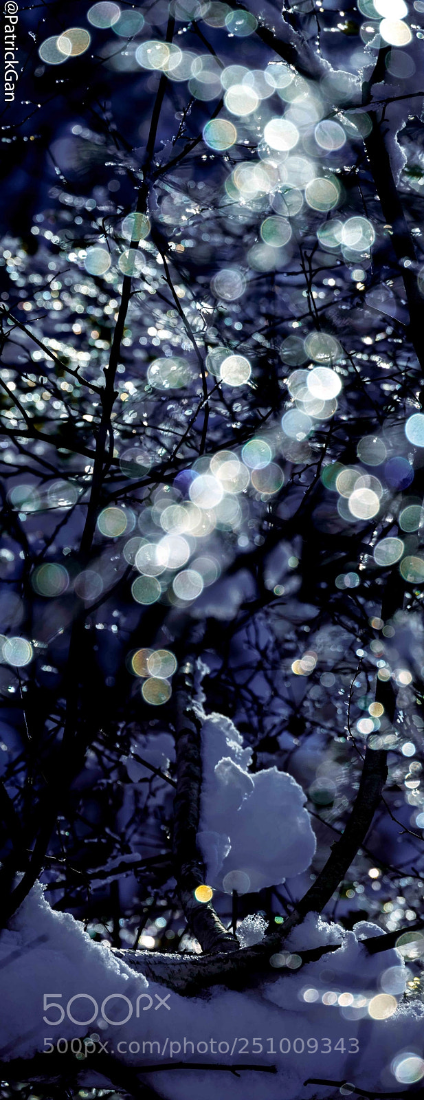 Olympus OM-D E-M5 II sample photo. Myriad twinkling lights in photography