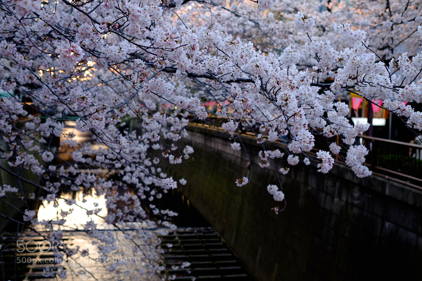 Fujifilm X-T10 sample photo. Untitled photography