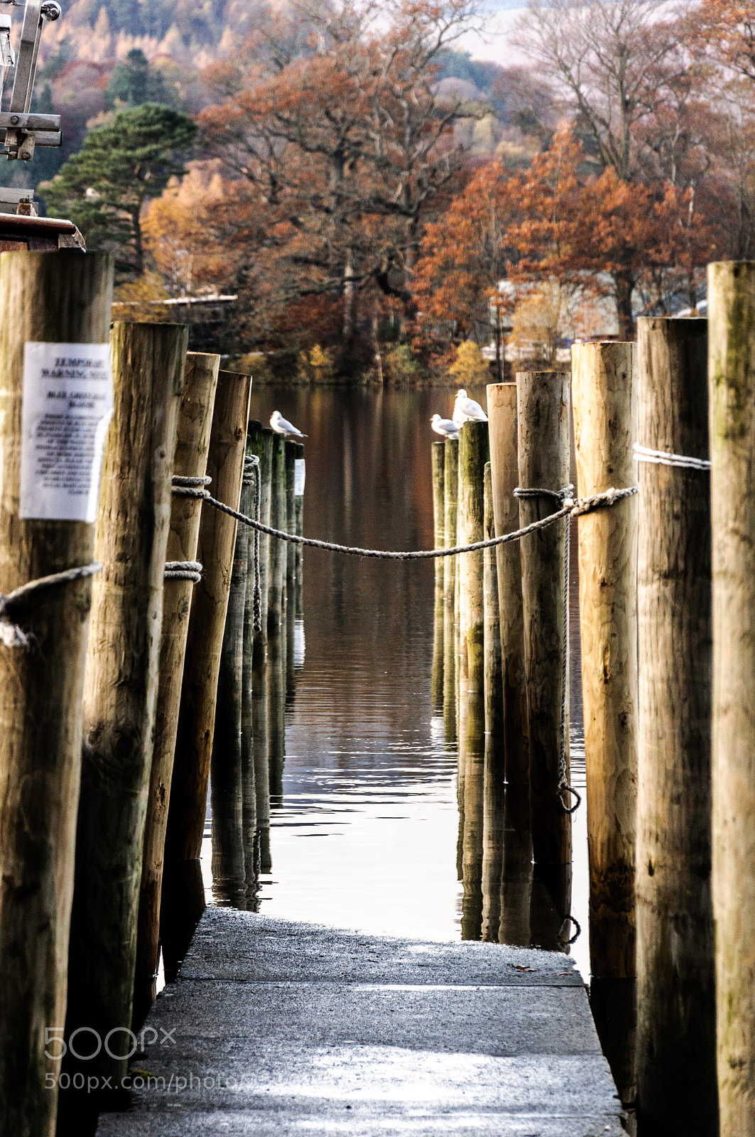 Nikon D90 sample photo. Stop photography