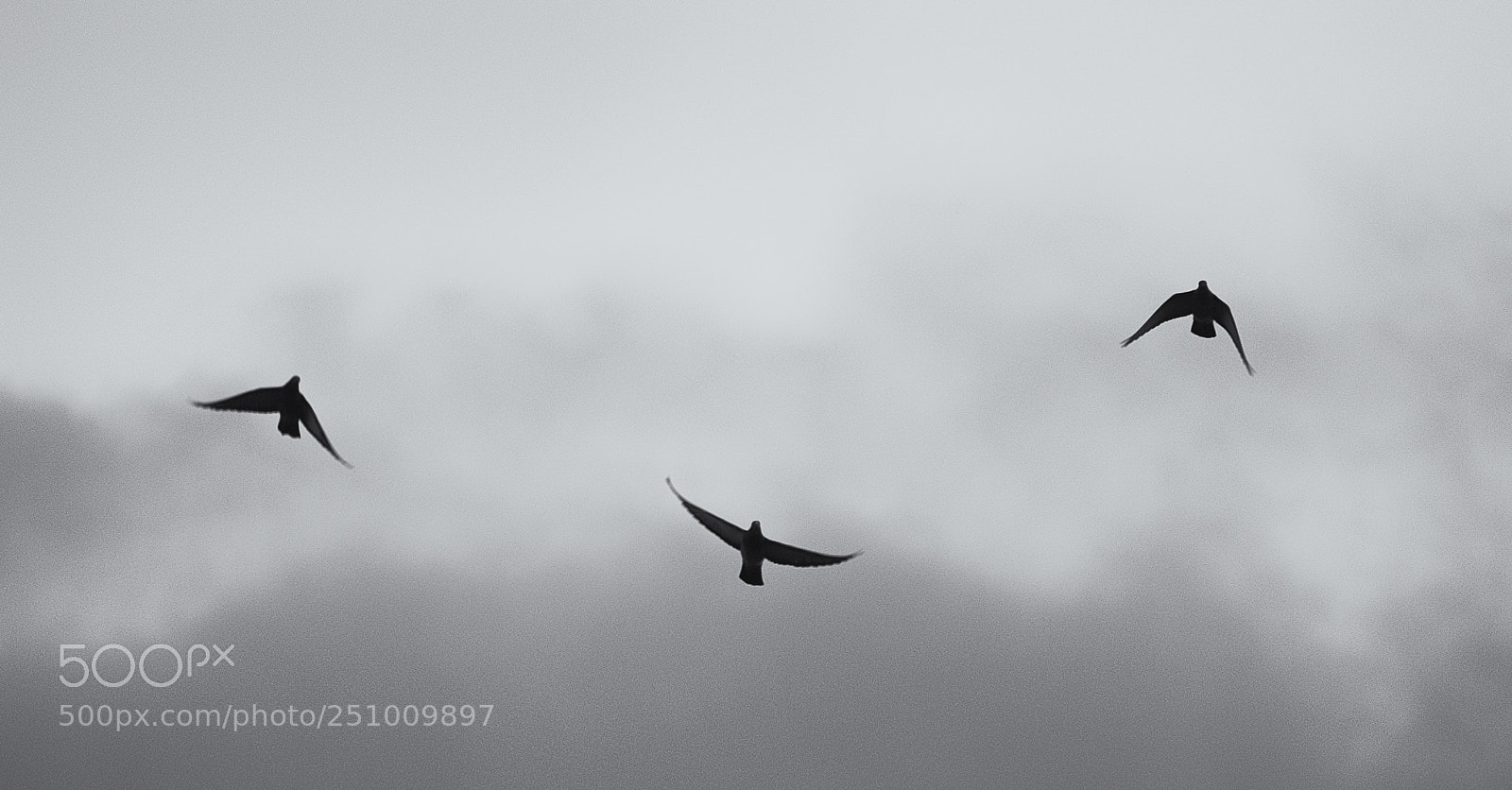Fujifilm X-T1 sample photo. Edit edit photography