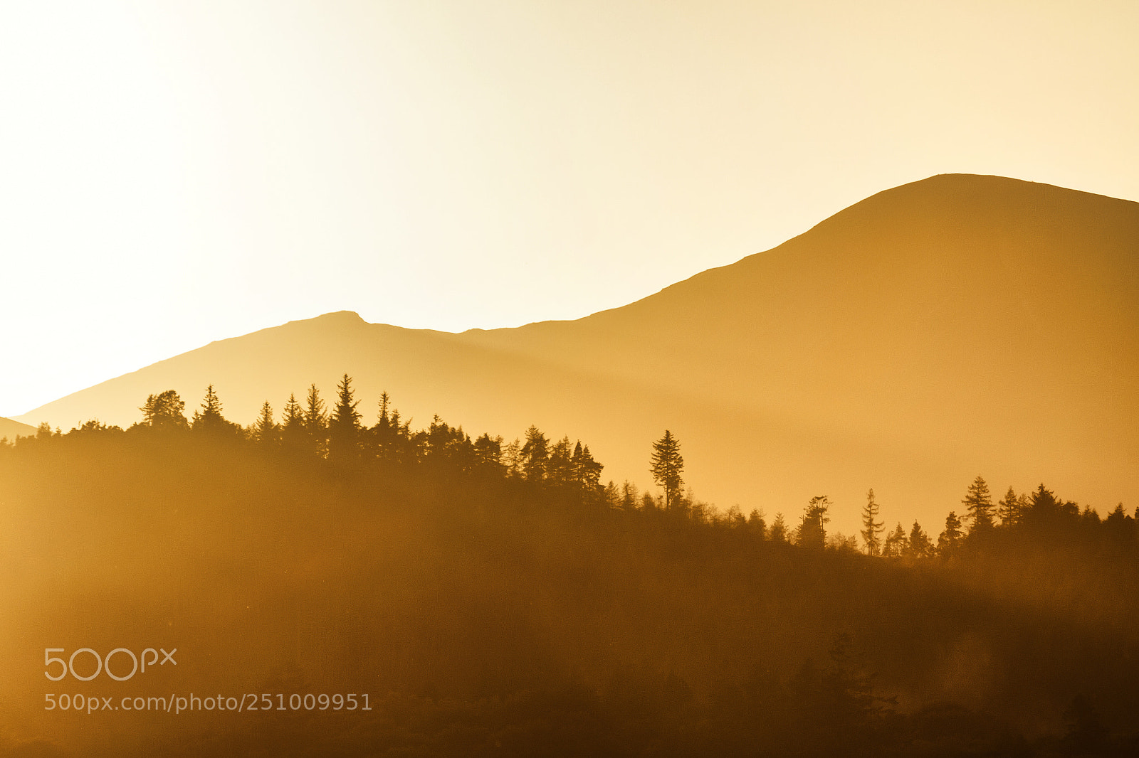 Canon EOS 50D sample photo. Golden light photography
