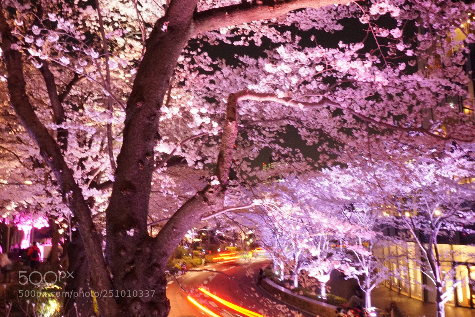 Sony a6000 sample photo. Midtown blossom photography