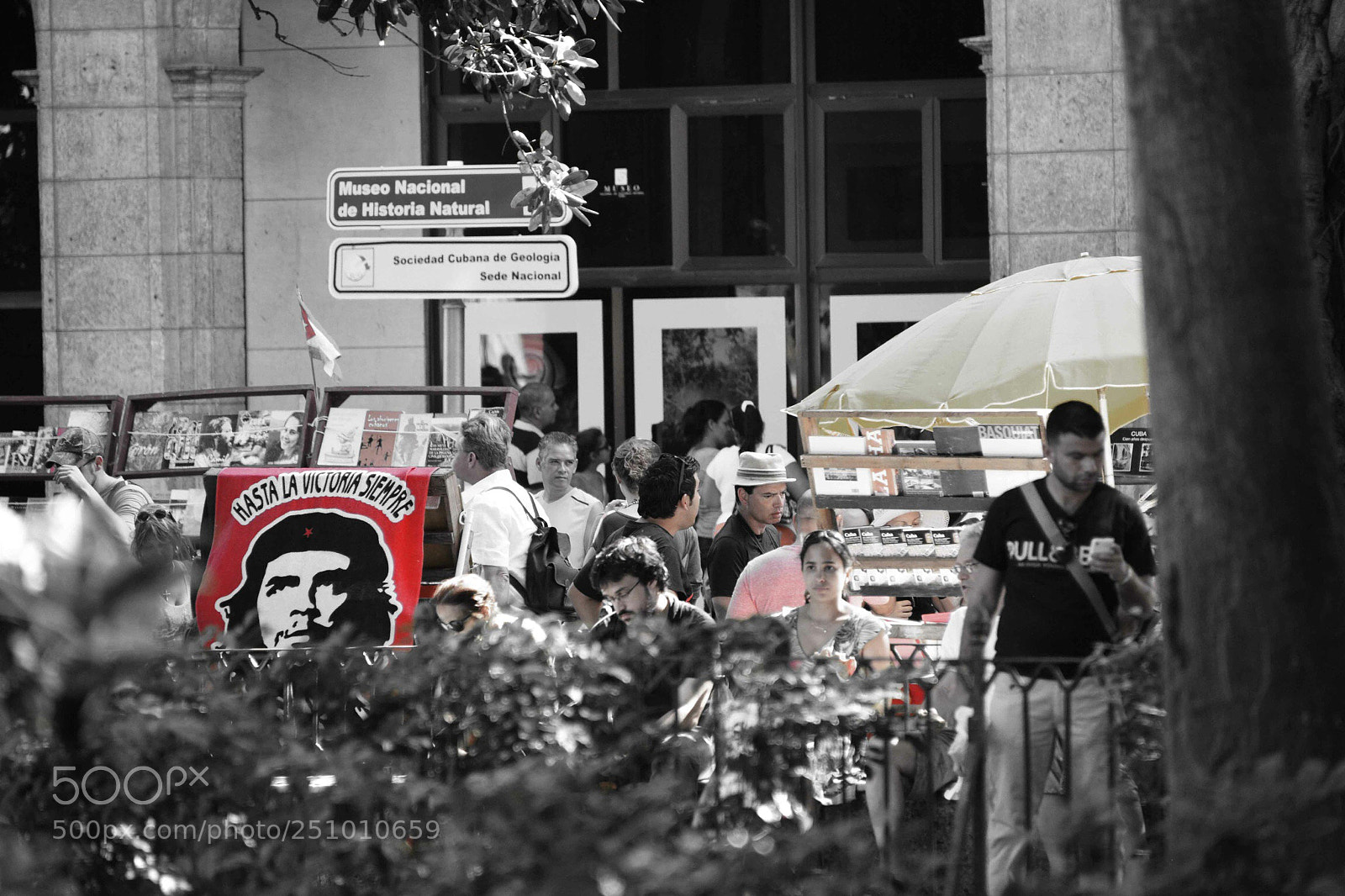 Nikon D800 sample photo. Che photography
