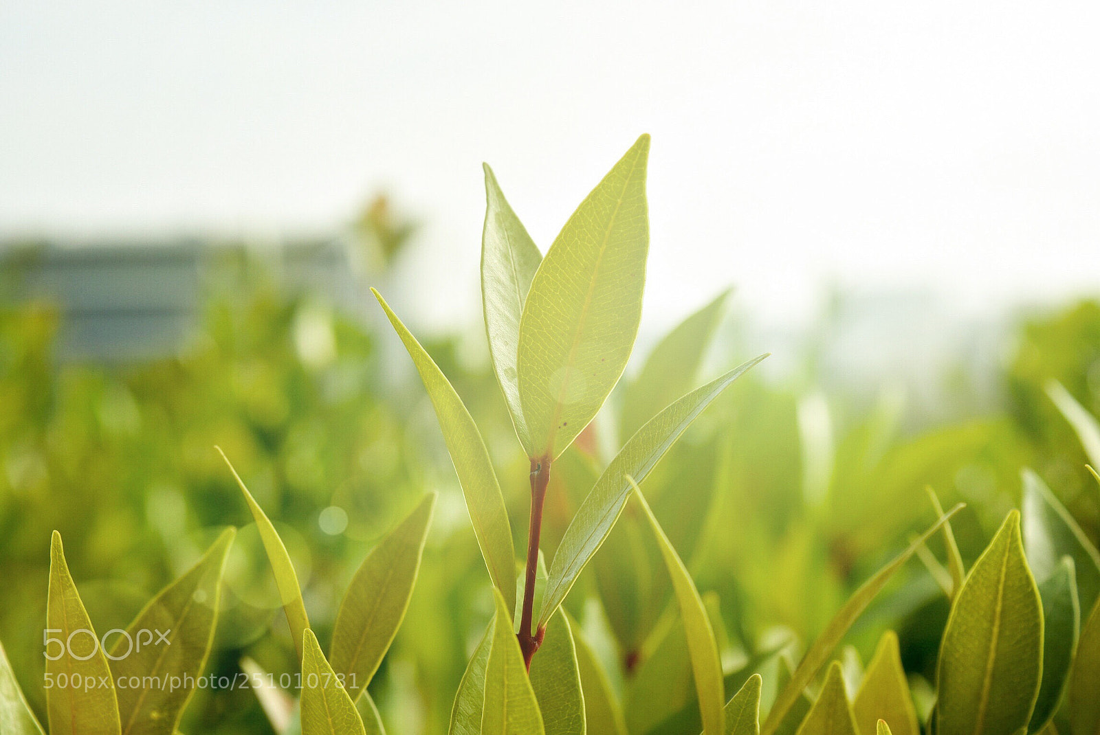 Nikon D7200 sample photo. Untitled photography