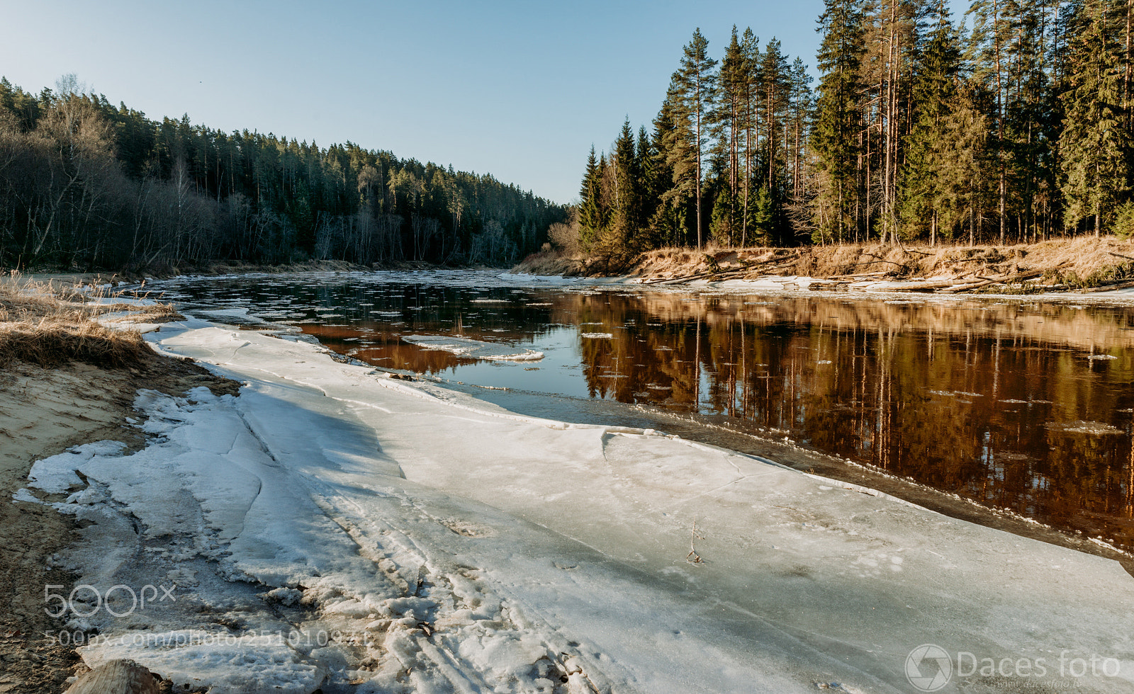 Sony SLT-A99V sample photo. Gauja photography