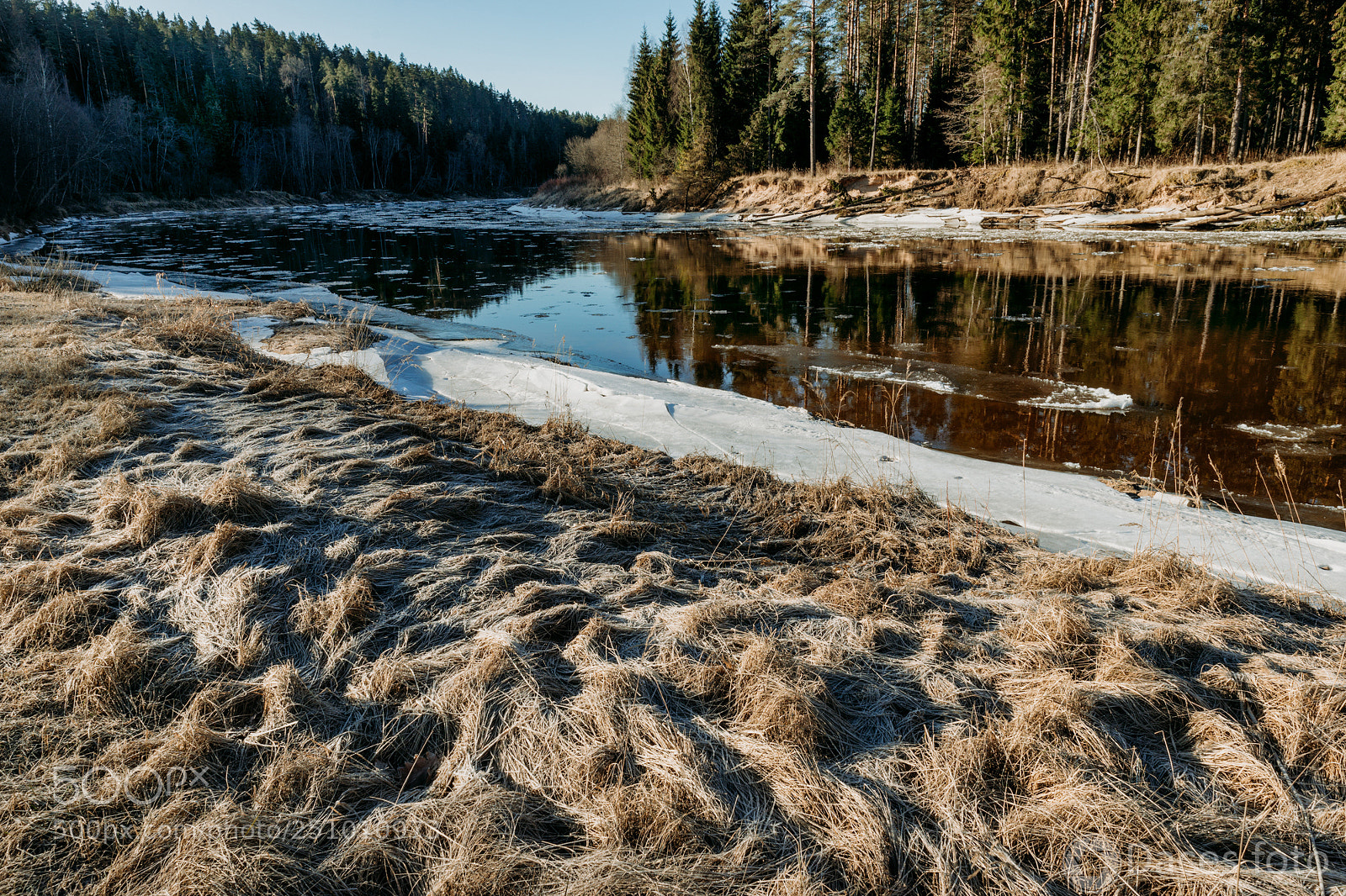 Sony SLT-A99V sample photo. Gauja photography