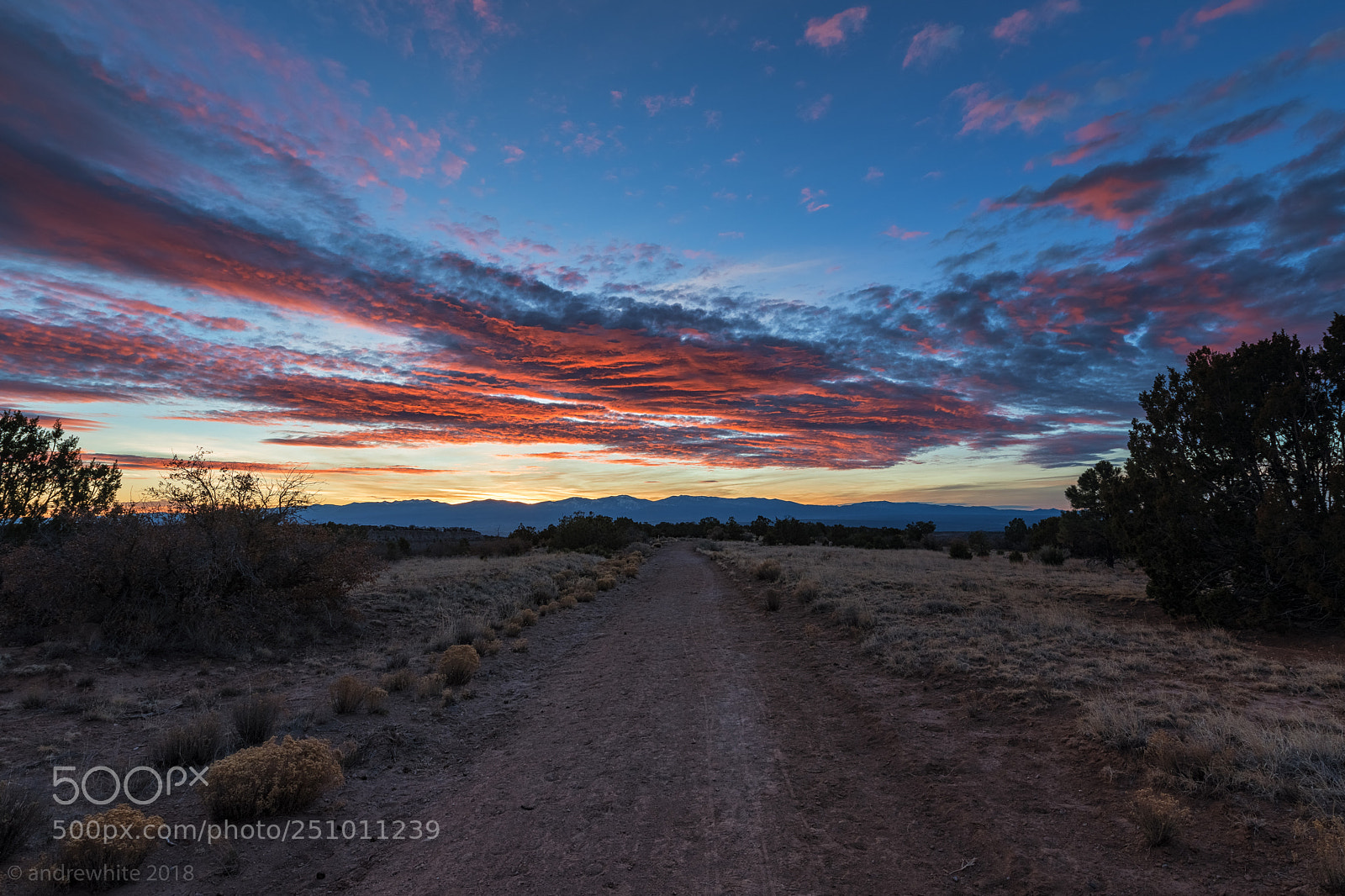 Nikon D850 sample photo. Mesa sunrise photography