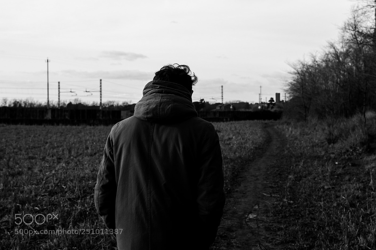 Nikon D3300 sample photo. Untitled photography