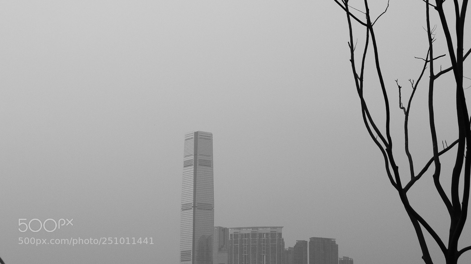 Canon EOS 70D sample photo. Fog photography