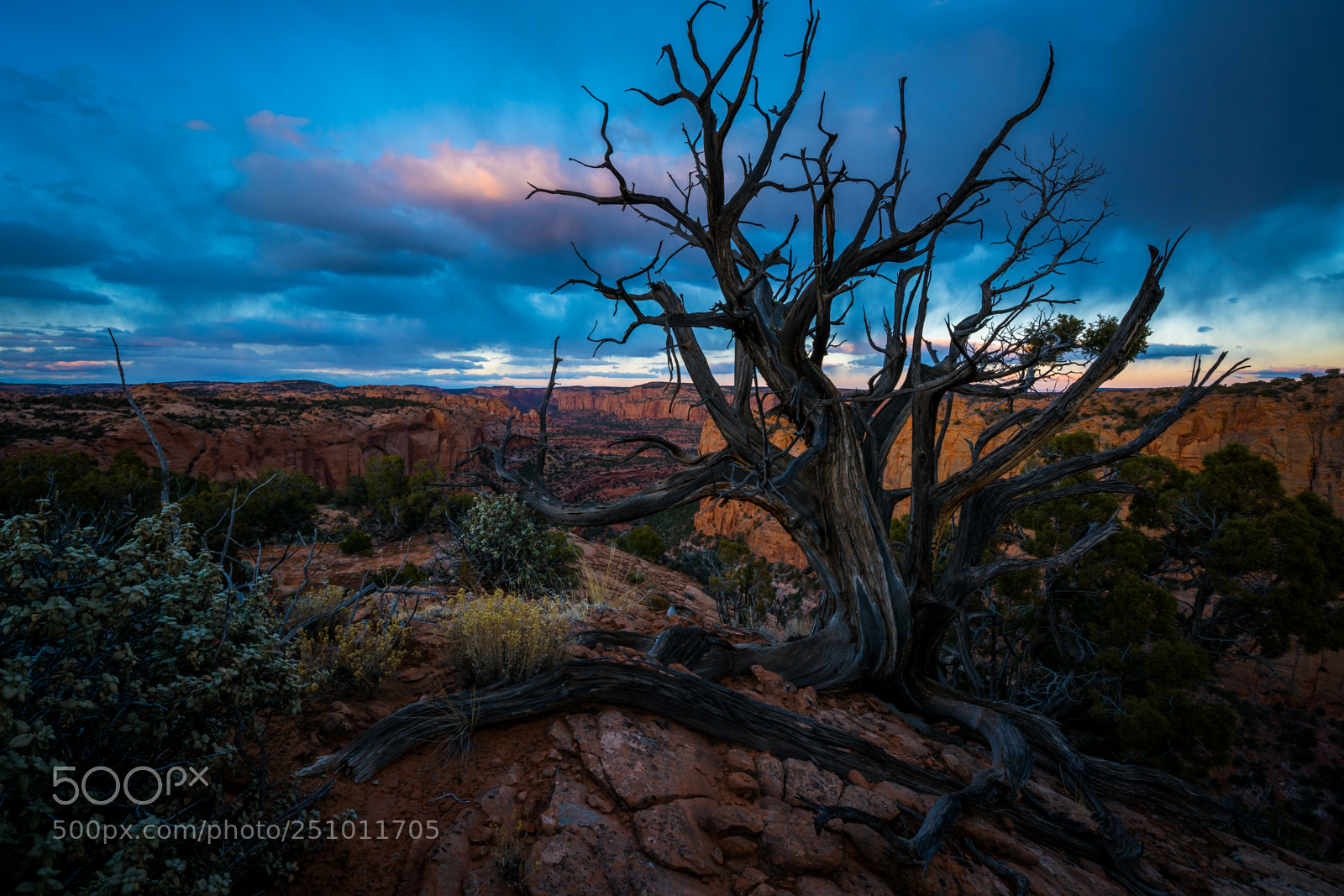 Sony a7R II sample photo. Betatakin canyon photography
