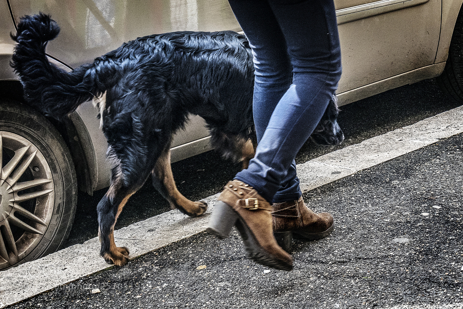 Panasonic Lumix DMC-GX85 (Lumix DMC-GX80 / Lumix DMC-GX7 Mark II) sample photo. Twin-set photography
