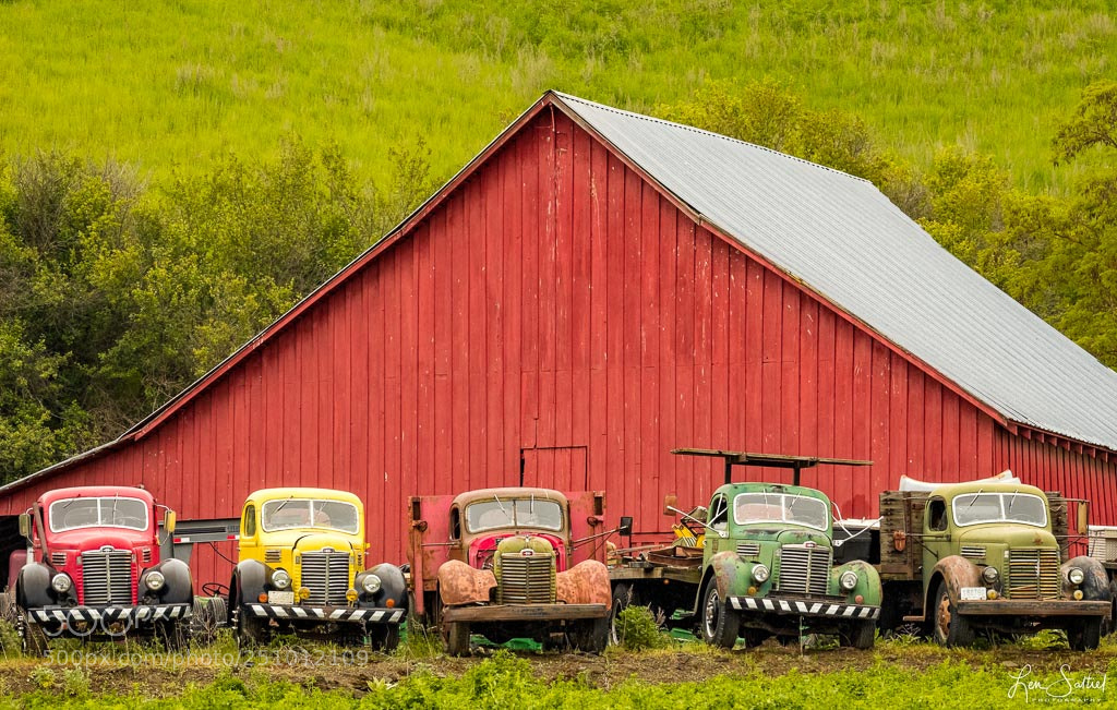 Fujifilm X-Pro2 sample photo. Old trucks photography