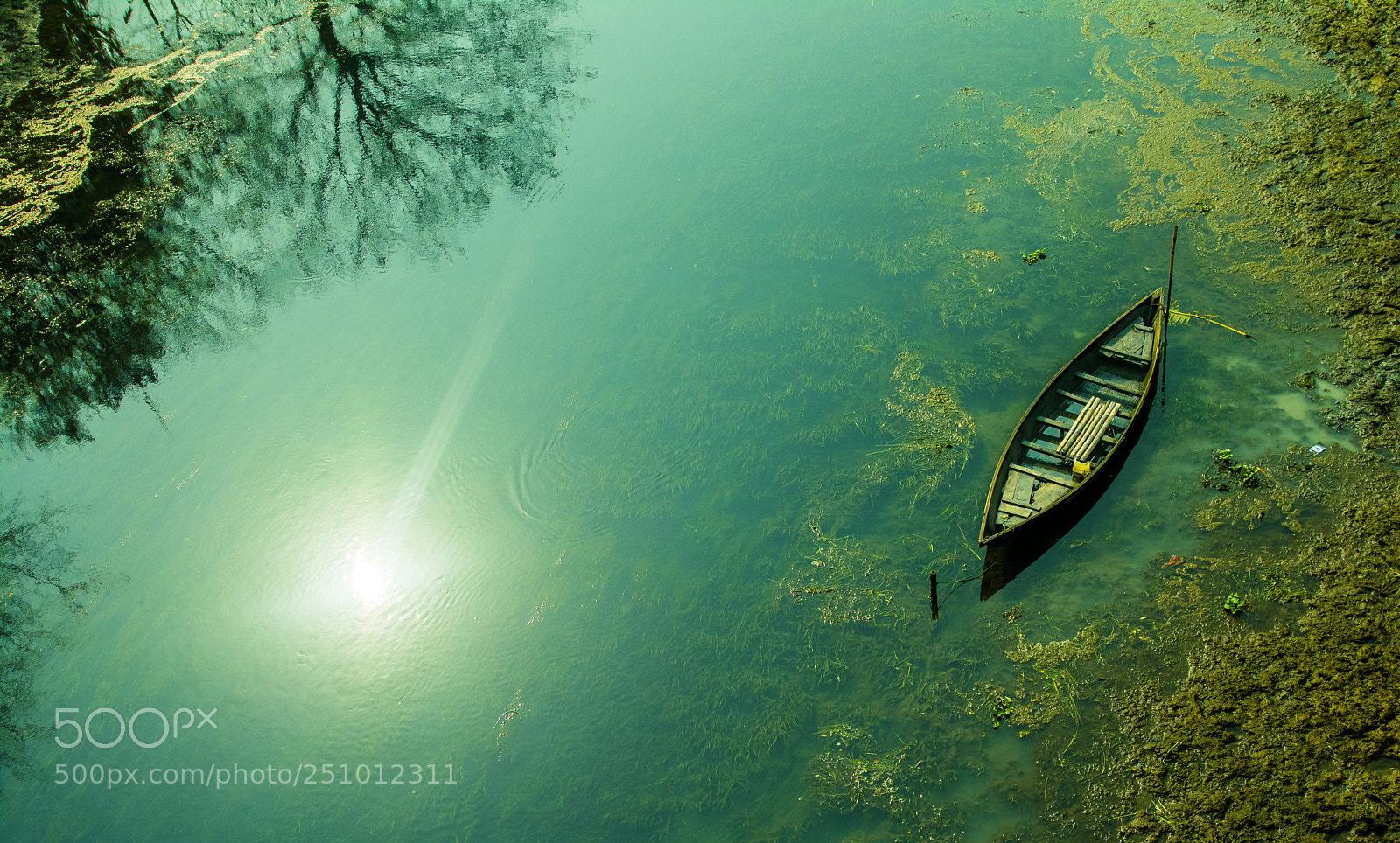 Nikon D7100 sample photo. Untitled photography