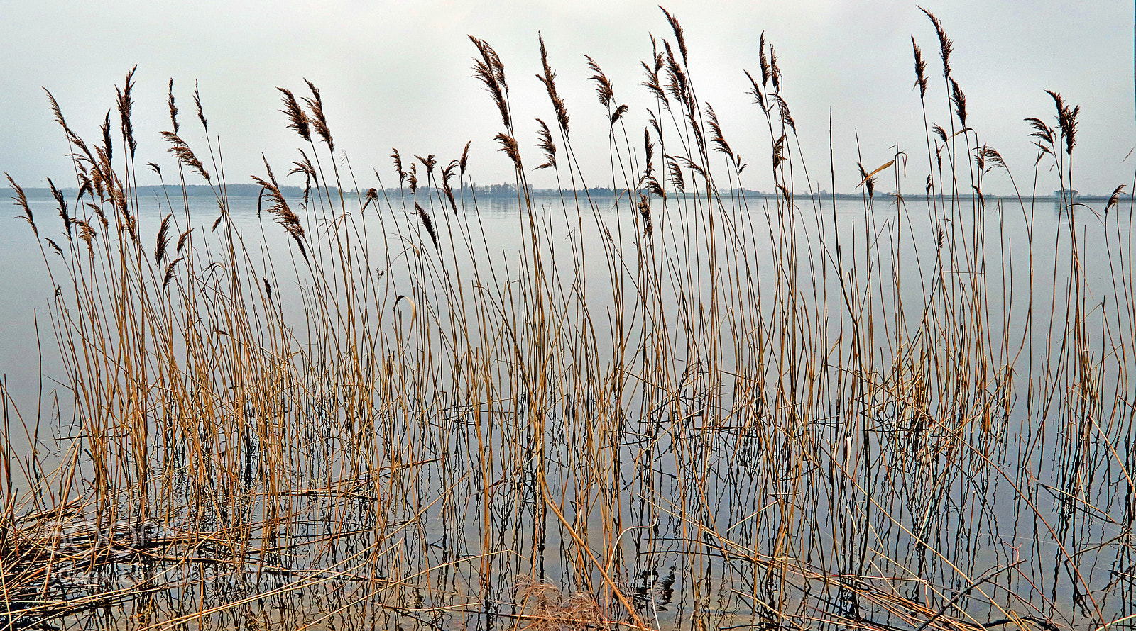 Canon EOS 77D (EOS 9000D / EOS 770D) sample photo. Grafham water photography