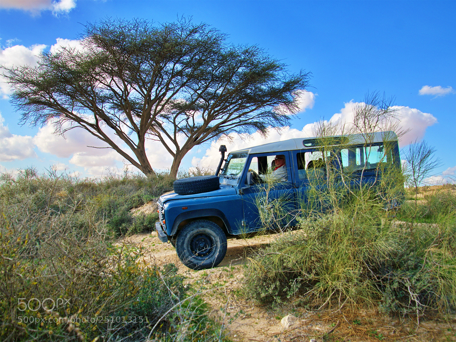 Nikon D7200 sample photo. Ride in the desert photography
